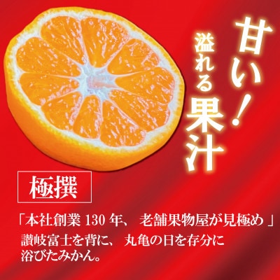【2025年12月上旬より順次発送】【極撰】 温州みかん 約5kg 香川県 丸亀市産