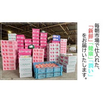 【2025年12月上旬より順次発送】【極撰】 温州みかん 約5kg 香川県 丸亀市産