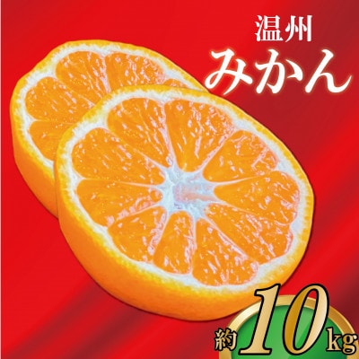 【2025年12月上旬より順次発送】【極撰】 温州みかん 約10kg 香川県 丸亀市産