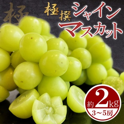 極撰!シャインマスカット 約2kg (3～5房) 香川県 丸亀市産