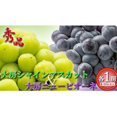 大房シャインマスカット & 大房ニューピオーネ 各1房 (各約600g) 香川県 丸亀市産