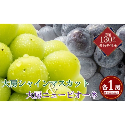 大房シャインマスカット & 大房ニューピオーネ 各1房 (各約600g) 香川県 丸亀市産