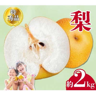 【2026年8月中旬より順次発送】 特秀品!丸亀育ちの「梨」約2kg