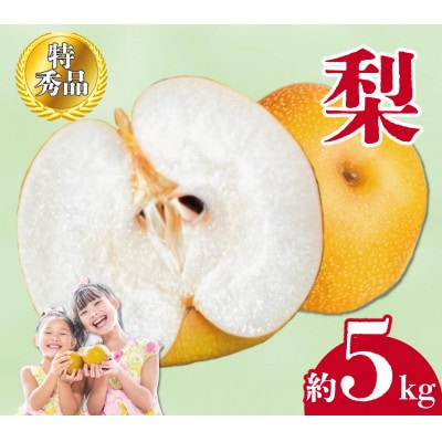 【2026年8月中旬より順次発送】 特秀品!丸亀育ちの「梨」約5kg