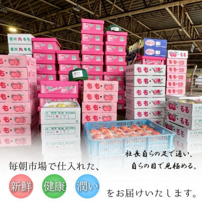 【2026年6月下旬より順次発送】 桃 特秀品 約2kg (6～8玉) 香川県 丸亀市産