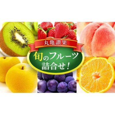 旬の厳選フルーツ詰め合わせ!～丸亀讃果～【1回便】