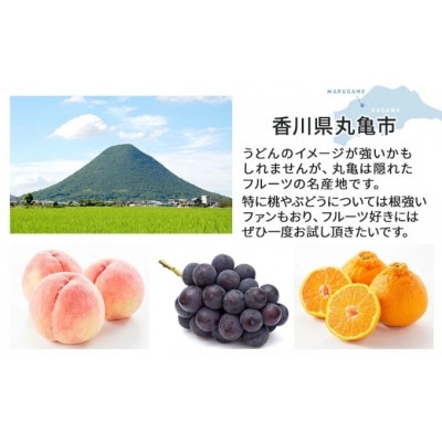 旬の厳選フルーツ詰め合わせ!～丸亀讃果～【1回便】