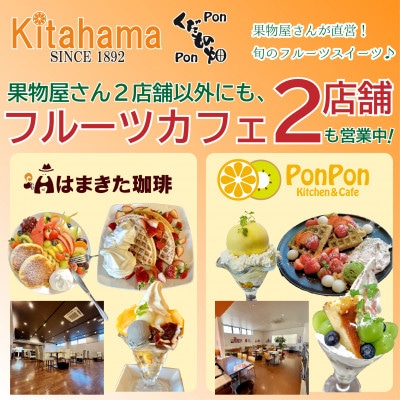 【2027年3月中旬より順次発送】ご家庭向け! 濃厚甘味の「デコポン」約5kg 丸亀市産