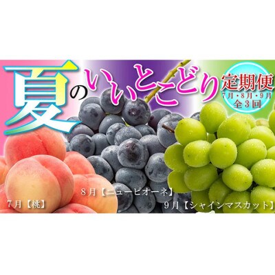 【発送月固定定期便】【7・8・9月】夏のいいとこどり定期便全3回