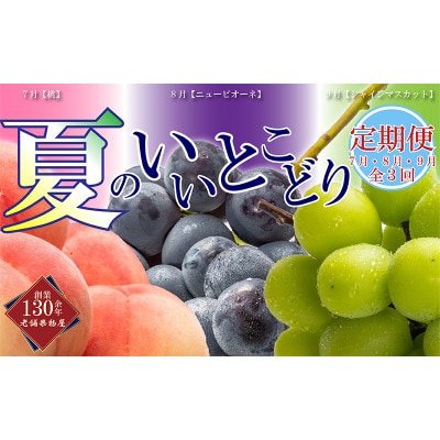 【発送月固定定期便】【7・8・9月】夏のいいとこどり定期便全3回