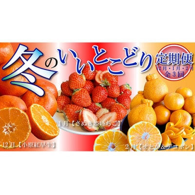 【発送月固定定期便】【定期便3回(12・1・2月)】冬のいいとこどり定期便全3回