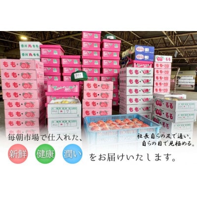 【発送月固定定期便】【7・8・9・12・1・2月】丸亀市のいいとこどり定期便全6回