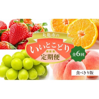 【発送月固定定期便】【ミニ6回(7・8・9・12・1・2月)】少量版丸亀市のいいとこどり定期便全6回