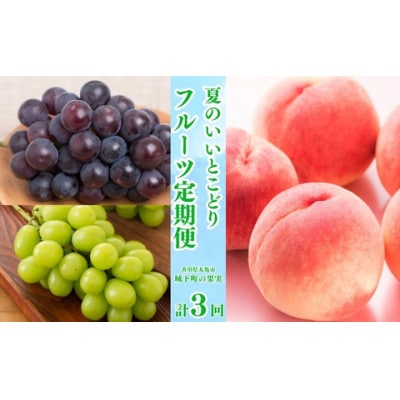 【発送月固定定期便】【ミニ3回(7・8・9月)】少量版・夏のいいとこどり定期便全3回