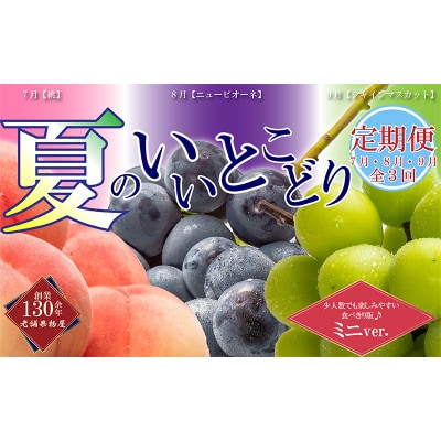 【発送月固定定期便】【ミニ3回(7・8・9月)】少量版・夏のいいとこどり定期便全3回
