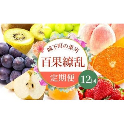 【発送月固定定期便】【百果繚乱】 フルーツ 定期便 12ヶ月 城下町の果実 セット全12回