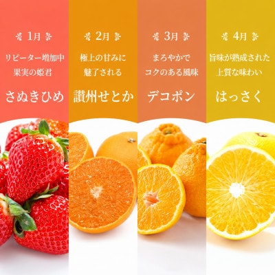 【発送月固定定期便】【百果繚乱】 フルーツ 定期便 12ヶ月 城下町の果実 セット全12回
