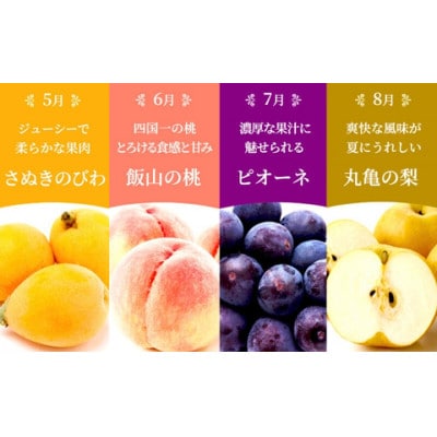 【発送月固定定期便】【百果繚乱】 フルーツ 定期便 12ヶ月 城下町の果実 セット全12回