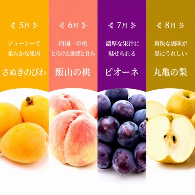 【発送月固定定期便】【百果繚乱】 フルーツ 定期便 12ヶ月 城下町の果実 セット全12回