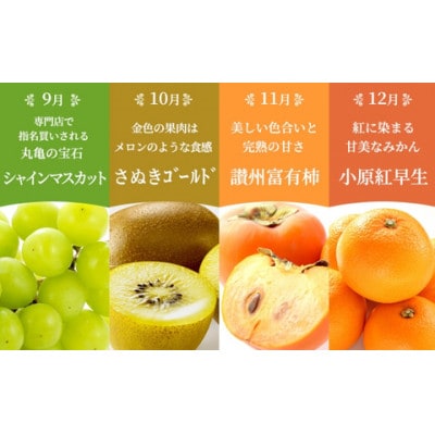 【発送月固定定期便】【百果繚乱】 フルーツ 定期便 12ヶ月 城下町の果実 セット全12回