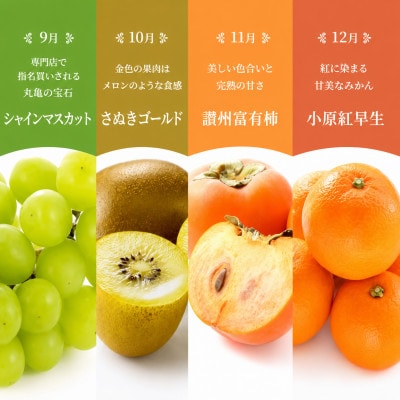 【発送月固定定期便】【百果繚乱】 フルーツ 定期便 12ヶ月 城下町の果実 セット全12回