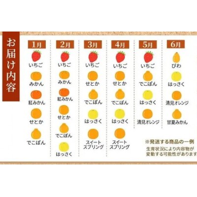 【毎月定期便】旬を見極めた厳選フルーツ詰合せ「丸亀讃果」全4回