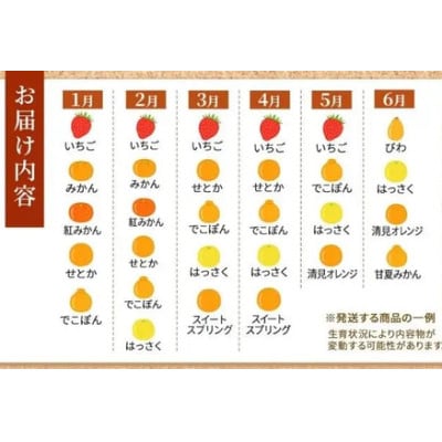 【毎月定期便】旬を見極めた厳選フルーツ詰合せ「丸亀讃果」全12回