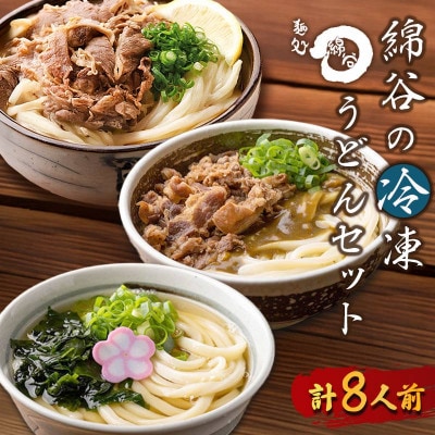 冷凍 讃岐うどん 3種 食べ比べセット 8人前 肉ぶっかけ 肉カレー かけうどん 綿谷