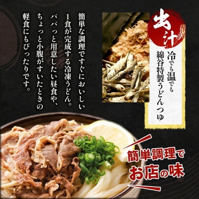 冷凍 讃岐うどん 2種 4人前 肉ぶっかけ 肉カレー 綿谷