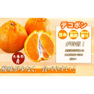 【2026年3月下旬より順次発送】【特秀品】デコポン 約3kg