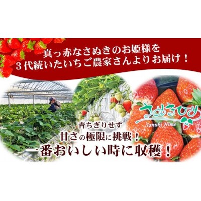 【2026年1月中旬～順次発送】さぬきひめ 250g×2パック 丸栄