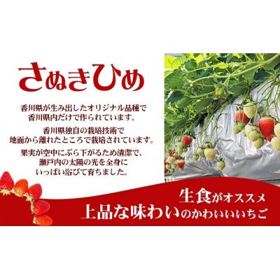 【2026年1月中旬～順次発送】さぬきひめ 250g×2パック 丸栄