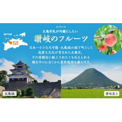 【毎月定期便】丸亀讃美果 フルーツ定期便全4回
