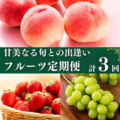 【発送月固定定期便】城下町の果実 【2・7・9月】全3回