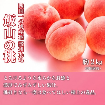 【発送月固定定期便】城下町の果実 【2・7・9月】全3回