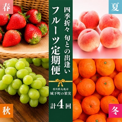 【発送月固定定期便】城下町の果実 【3・7・9・12月】全4回