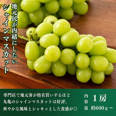 【発送月固定定期便】城下町の果実 【3・7・9・12月】全4回