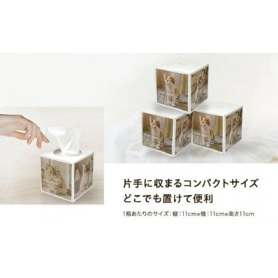 ティッシュペーパー 42箱 80W 場所をとらない キューブ型