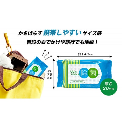 除菌 ウェットティッシュワイド 計500回分 ( 20枚入×25個 )