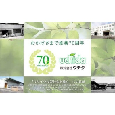 【2ヵ月毎定期便】キッチンペーパー 60W×12パック 香川県 丸亀市全3回