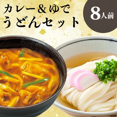 さぬきうどん&カレーうどん 8人前 詰合せセット ダシ・スープ付き