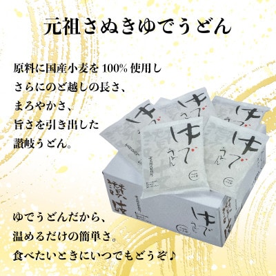 さぬきうどん&カレーうどん 8人前 詰合せセット ダシ・スープ付き