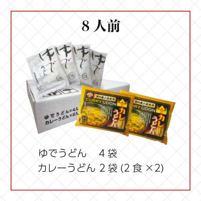 さぬきうどん&カレーうどん 8人前 詰合せセット ダシ・スープ付き