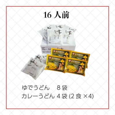 さぬきうどん&カレーうどん 16人前 詰合せセット ダシ・スープ付き