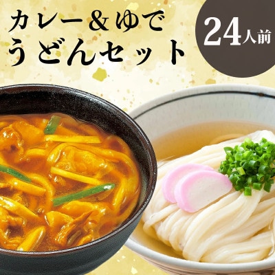 さぬきうどん&カレーうどん 24人前 詰合せセット ダシ・スープ付き