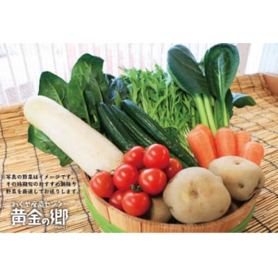 黄金の郷 季節のお野菜 お楽しみAセット【aubless001】