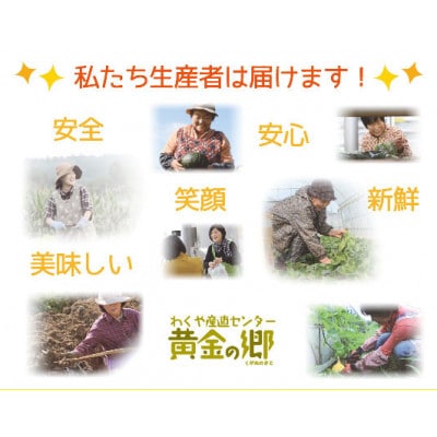 黄金の郷 季節のお野菜 お楽しみAセット【aubless001】
