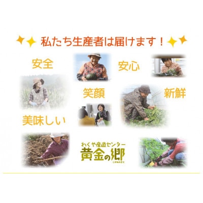 黄金の郷 季節のお野菜 お楽しみAセット【aubless001】