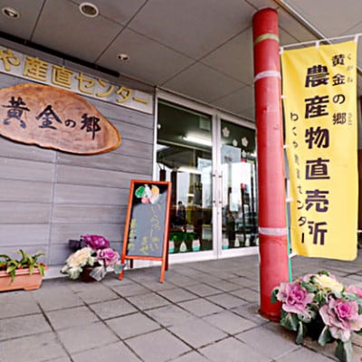 黄金の郷 季節のお野菜 お楽しみAセット【aubless001】