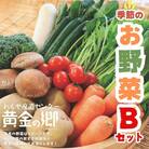 黄金の郷 季節のお野菜 お楽しみBセット【aubless002】